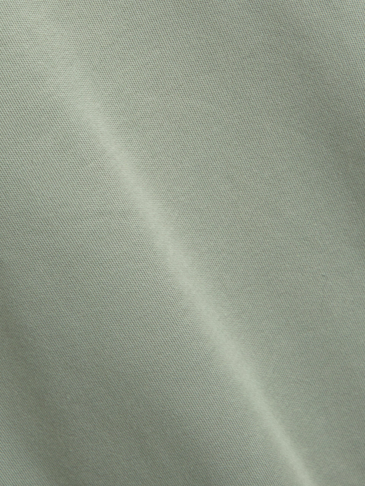 Heavy T-Shirt Tavistock Sage Green